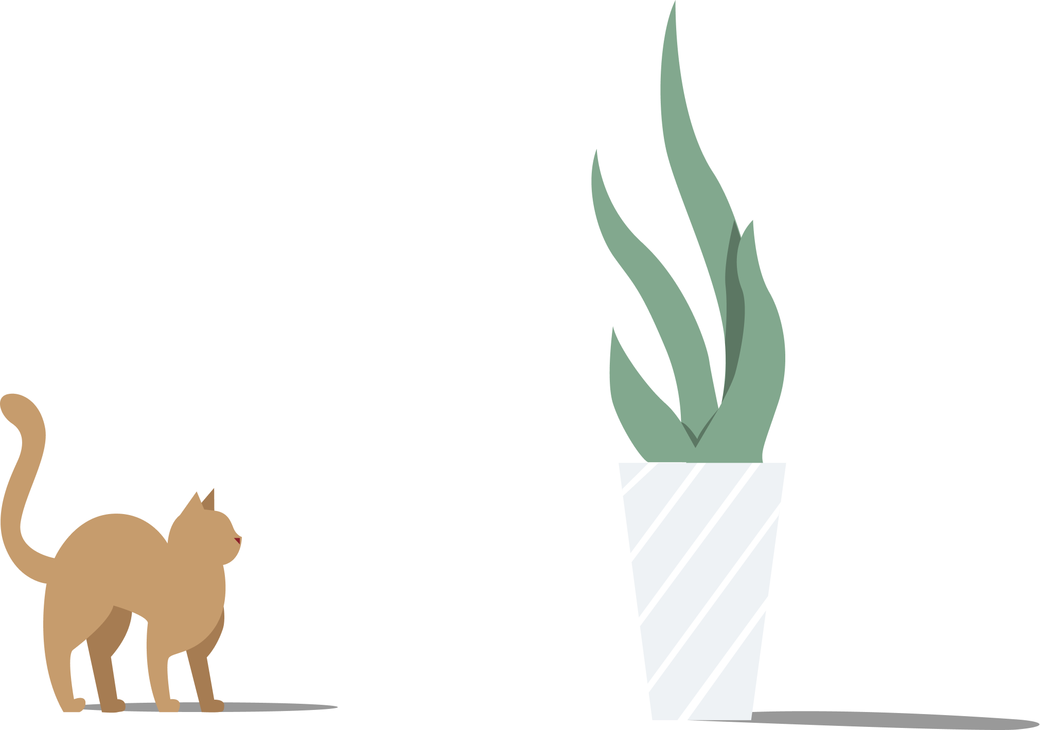 img-cat-plant